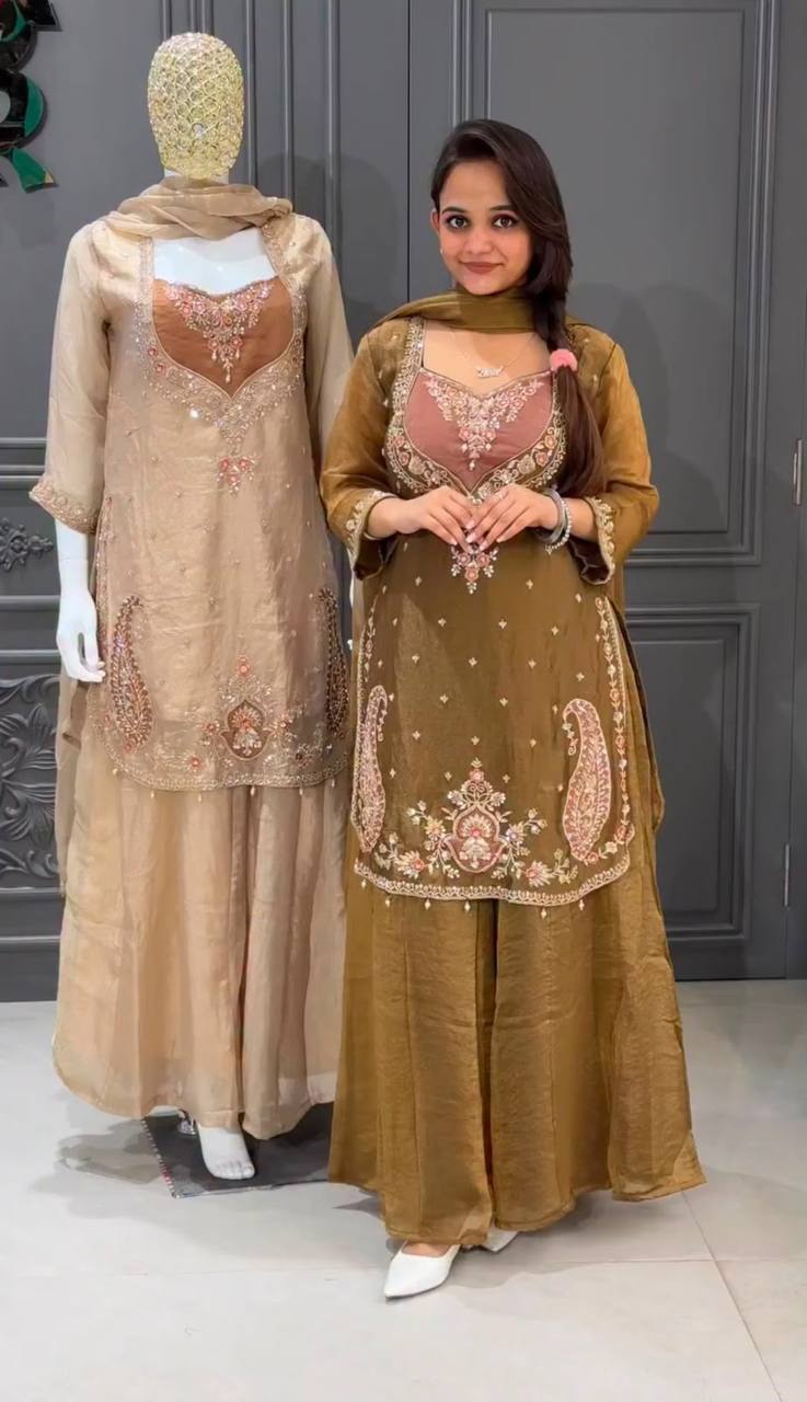 Premium Simmer Fabric Pakistani Suit Party Wear Salwar Kameez