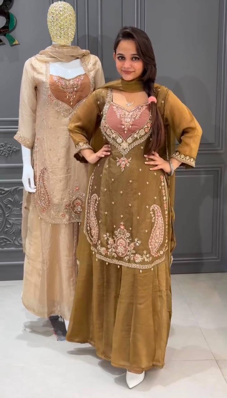 Premium Simmer Fabric Pakistani Suit Party Wear Salwar Kameez